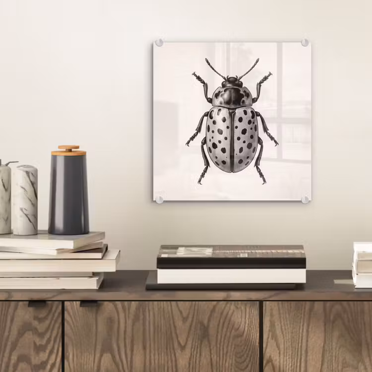 Kever - Insect - Vintage plexiglas 5mm klein -sfeer1