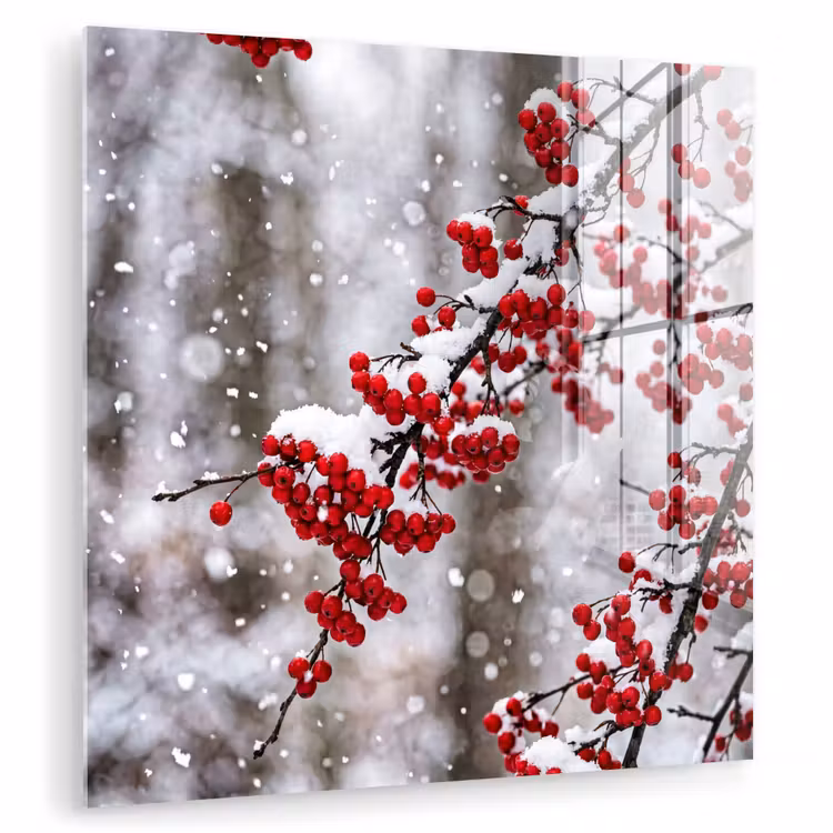 Bessen - Takken - Sneeuw - Winter - Kleurrijk plexiglas 5mm klein -zzzproduct_nieuw