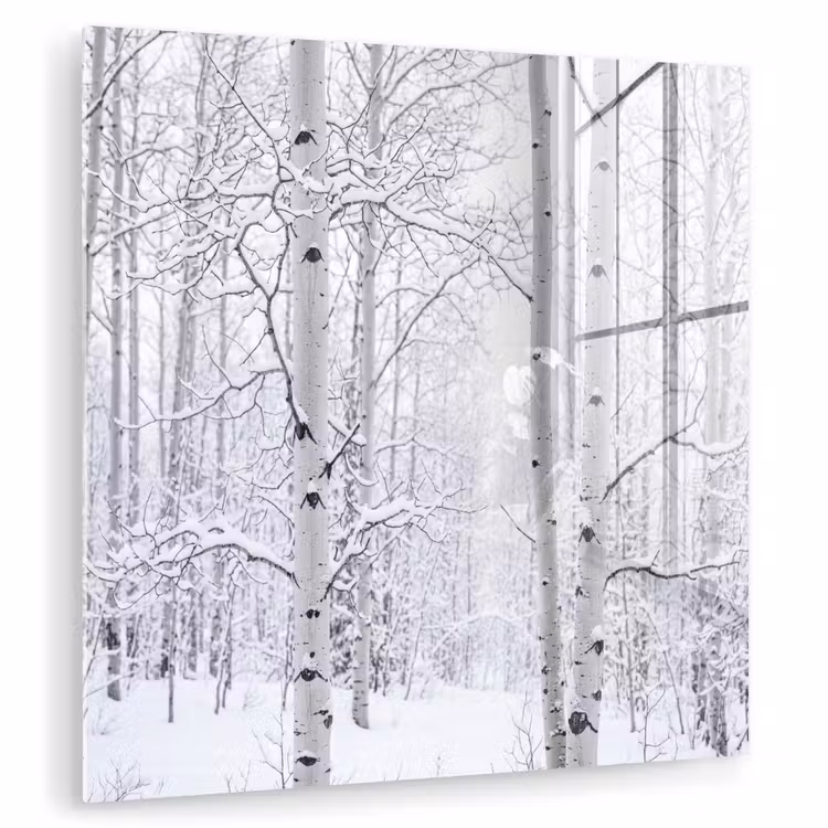 Berkenbomen - Sneeuw - Winter - Bos - Wit plexiglas 5mm klein -zzzproduct_nieuw