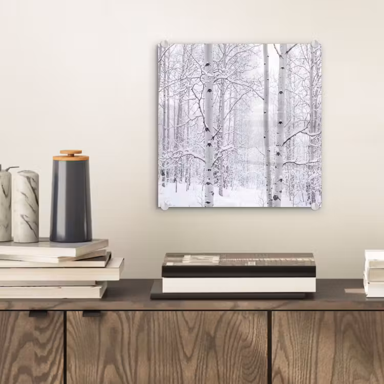 Berkenbomen - Sneeuw - Winter - Bos - Wit plexiglas 5mm klein -sfeer1
