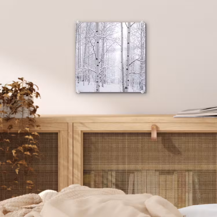 Berkenbomen - Sneeuw - Winter - Bos - Wit plexiglas 5mm klein -sfeer4