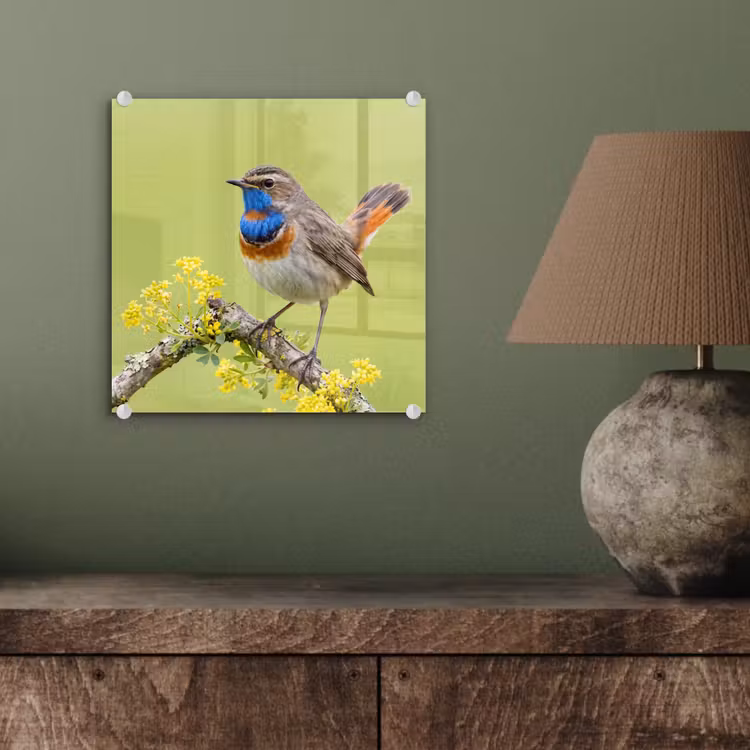 Vogel - Tak - Natuur - Kleurrijk plexiglas 5mm klein -sfeer3