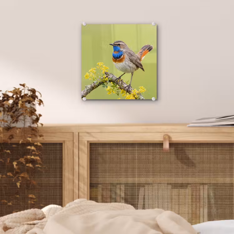 Vogel - Tak - Natuur - Kleurrijk plexiglas 5mm klein -sfeer4