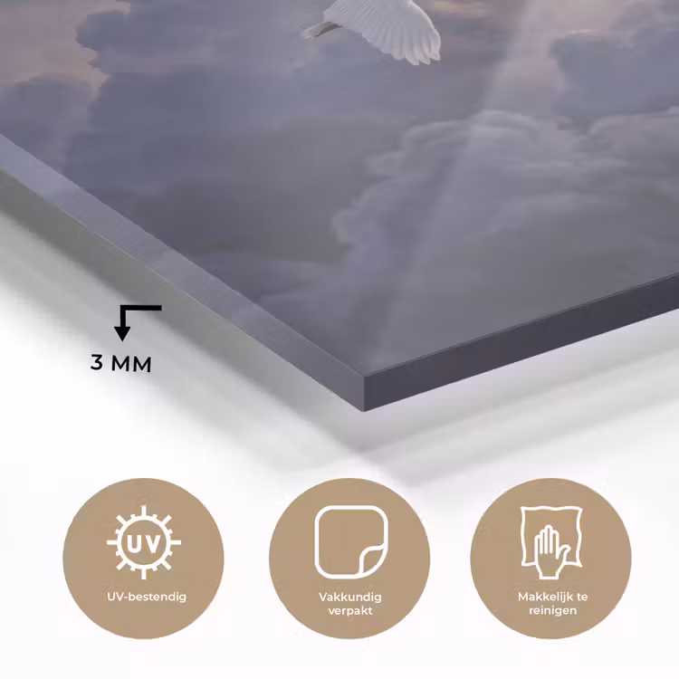 Vogel - Vliegend - Natuur - Wit - Wolken plexiglas 5mm klein -sfeer2