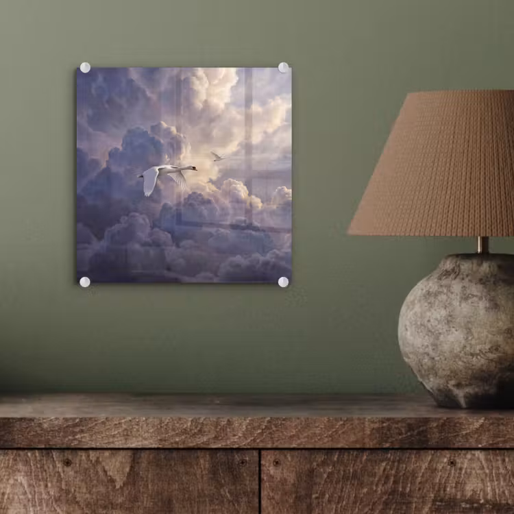 Vogel - Vliegend - Natuur - Wit - Wolken plexiglas 5mm klein -sfeer3