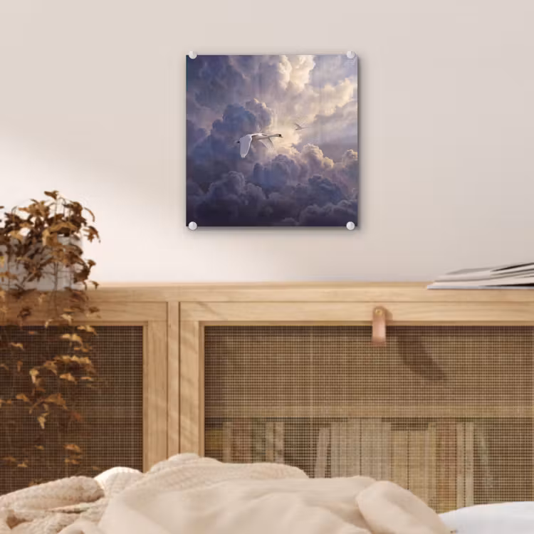 Vogel - Vliegend - Natuur - Wit - Wolken plexiglas 5mm klein -sfeer4