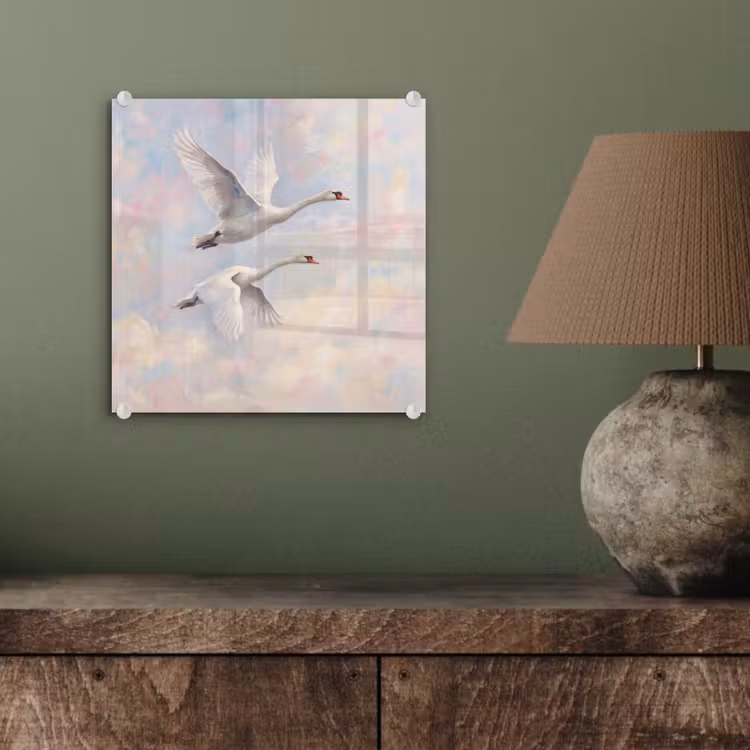 Vogel - Vliegend - Lucht - Modern - Pastel plexiglas 5mm klein -sfeer3