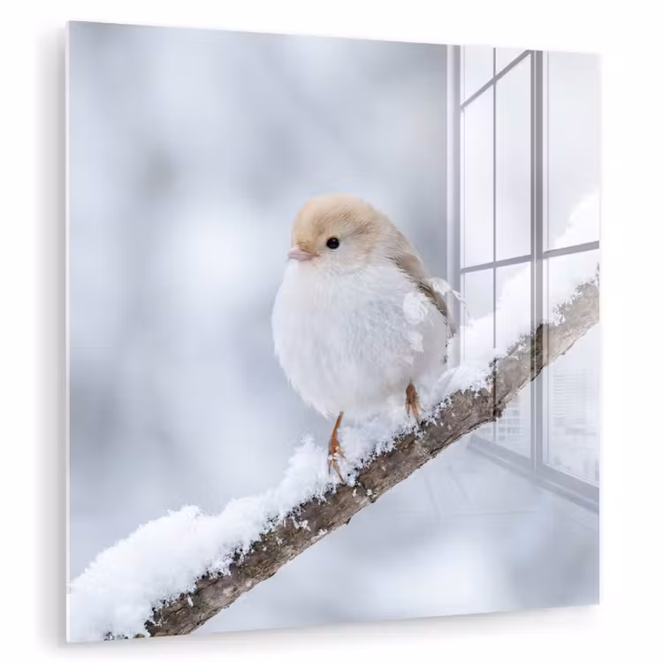 Vogeltje - Sneeuw - Tak - Winter - Zacht plexiglas 5mm klein -zzzproduct_nieuw