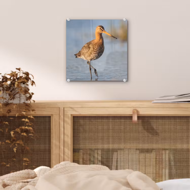 Vogel - Steltloper - Water - Natuur plexiglas 5mm klein -sfeer4