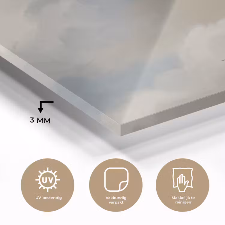 Vogel - Wolken - Natuur - Modern - Grijs plexiglas 5mm klein -sfeer2
