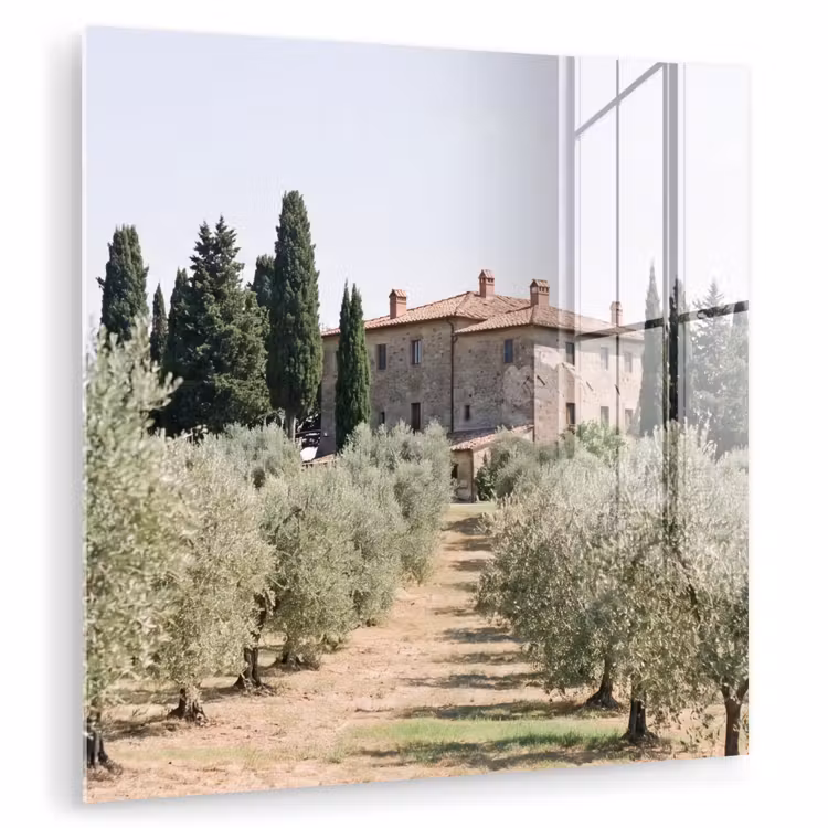 Glass Print - Country house - olive tree - orchard - Landhuis - olijfboom - gaard plexiglas 5mm klein