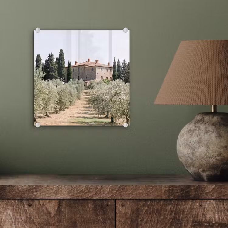 Glass Print - Country house - olive tree - orchard - Landhuis - olijfboom - gaard plexiglas 5mm klein