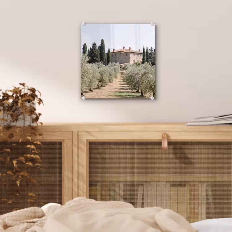 Glass Print - Country house - olive tree - orchard - Landhuis - olijfboom - gaard plexiglas 5mm klein