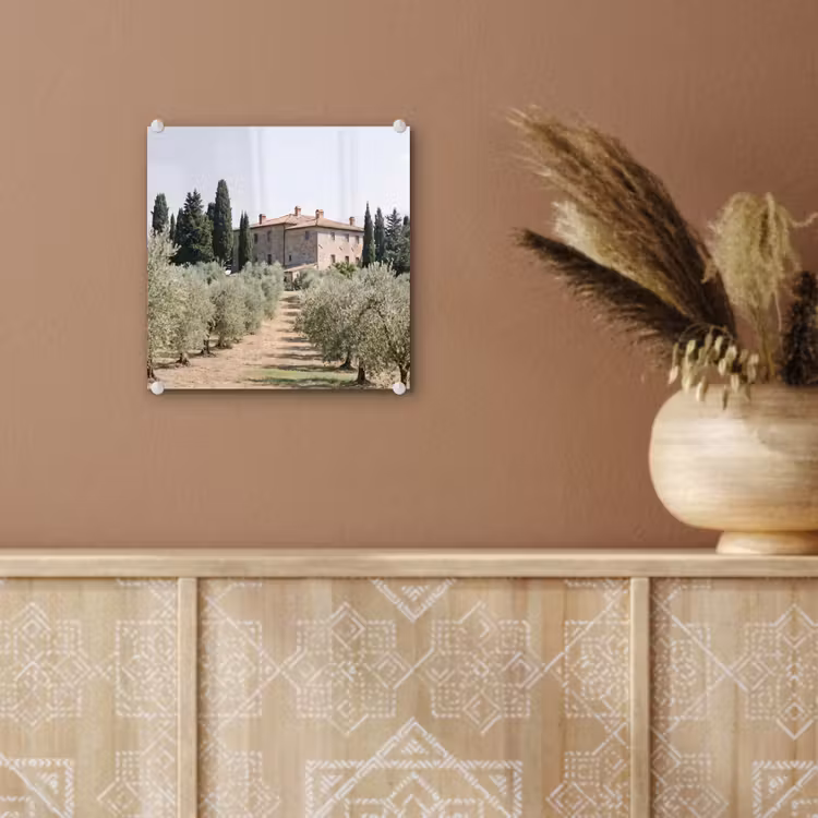 Glass Print - Country house - olive tree - orchard - Landhuis - olijfboom - gaard plexiglas 5mm klein