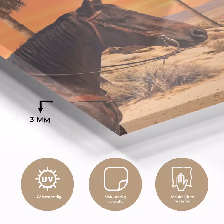 Glass Print - Cowboy - Horse - Desert - Cowboy - Paard - Woestijn plexiglas 5mm klein