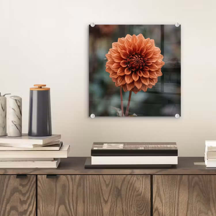 Dahlia - Bloem - Natuur - Sfeervol plexiglas 5mm klein -sfeer1