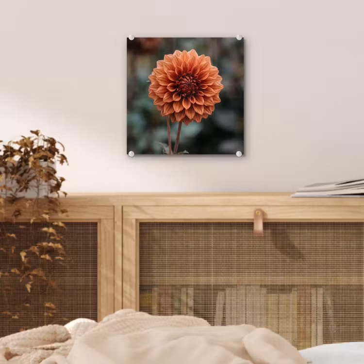Dahlia - Bloem - Natuur - Sfeervol plexiglas 5mm klein -sfeer4