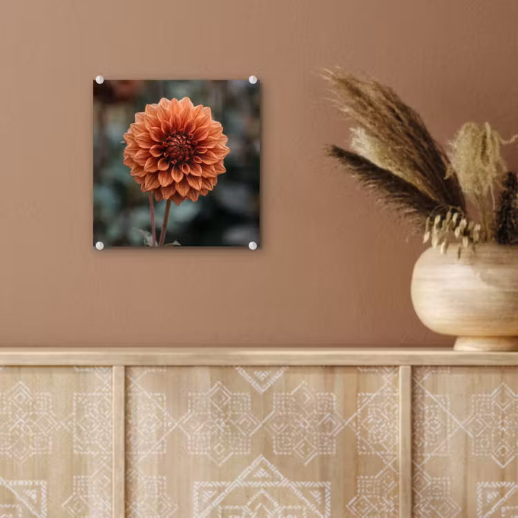 Dahlia - Bloem - Natuur - Sfeervol plexiglas 5mm klein -sfeer5