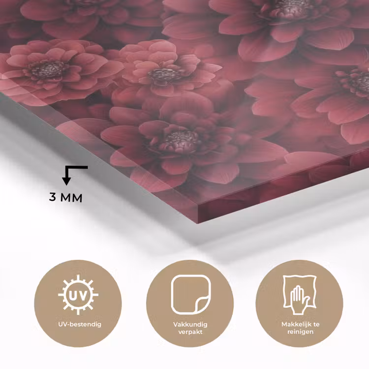 Dahlias - Bloemen - Rood plexiglas 5mm klein 11 -sfeer2