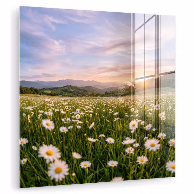 Madelief - Veld - Heuvels - Groen plexiglas 5mm klein -zzzproduct_nieuw