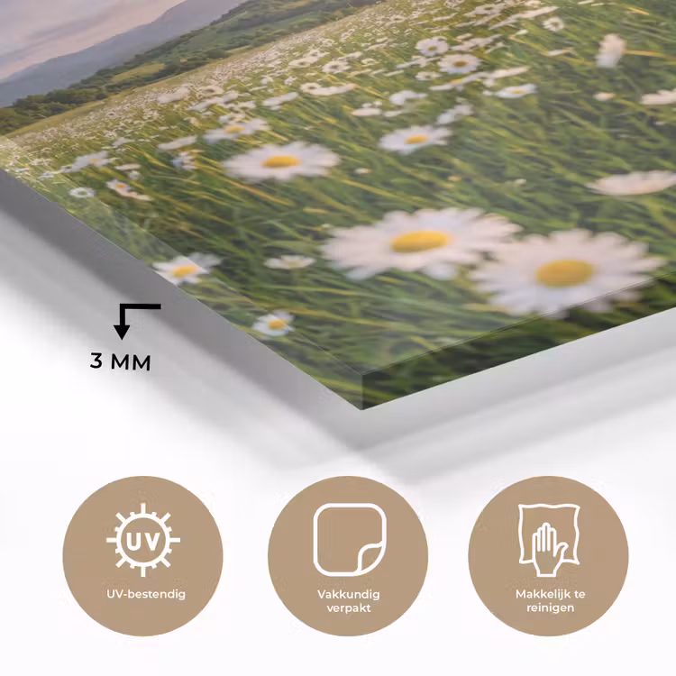 Madelief - Veld - Heuvels - Groen plexiglas 5mm klein -sfeer2