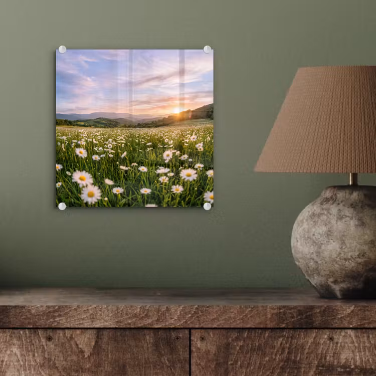 Madelief - Veld - Heuvels - Groen plexiglas 5mm klein -sfeer3