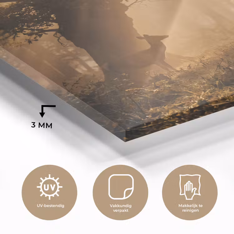 Hert - Bos - Mistig - Natuur - Goud plexiglas 5mm klein -sfeer2