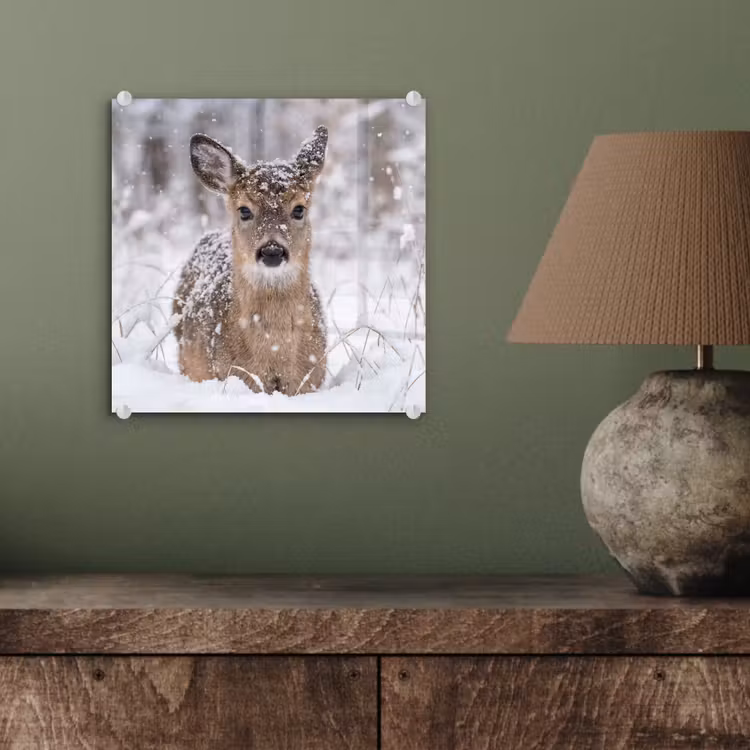 Hert - Sneeuw - Bos - Dieren - Vertederend plexiglas 5mm klein -sfeer3