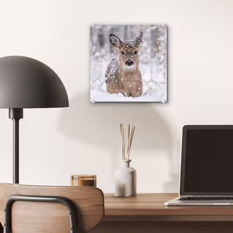 Hert - Sneeuw - Bos - Dieren - Vertederend plexiglas 5mm klein -sfeer6