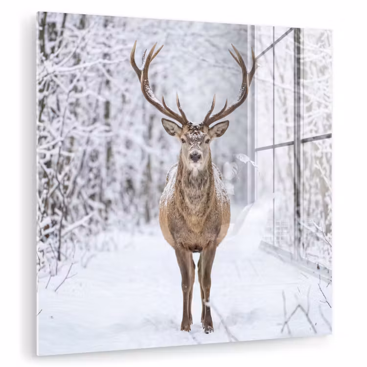 Hert - Winter - Bos - Natuur - Wit plexiglas 5mm klein -zzzproduct_nieuw