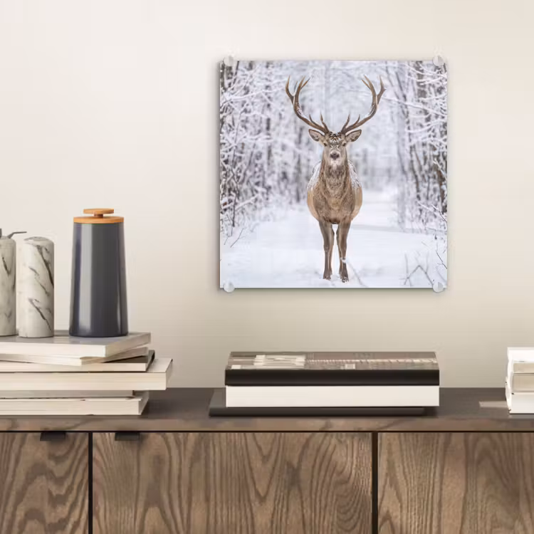 Hert - Winter - Bos - Natuur - Wit plexiglas 5mm klein -sfeer1
