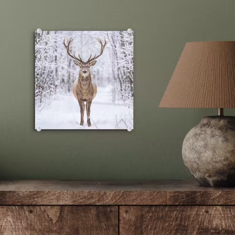 Hert - Winter - Bos - Natuur - Wit plexiglas 5mm klein -sfeer3