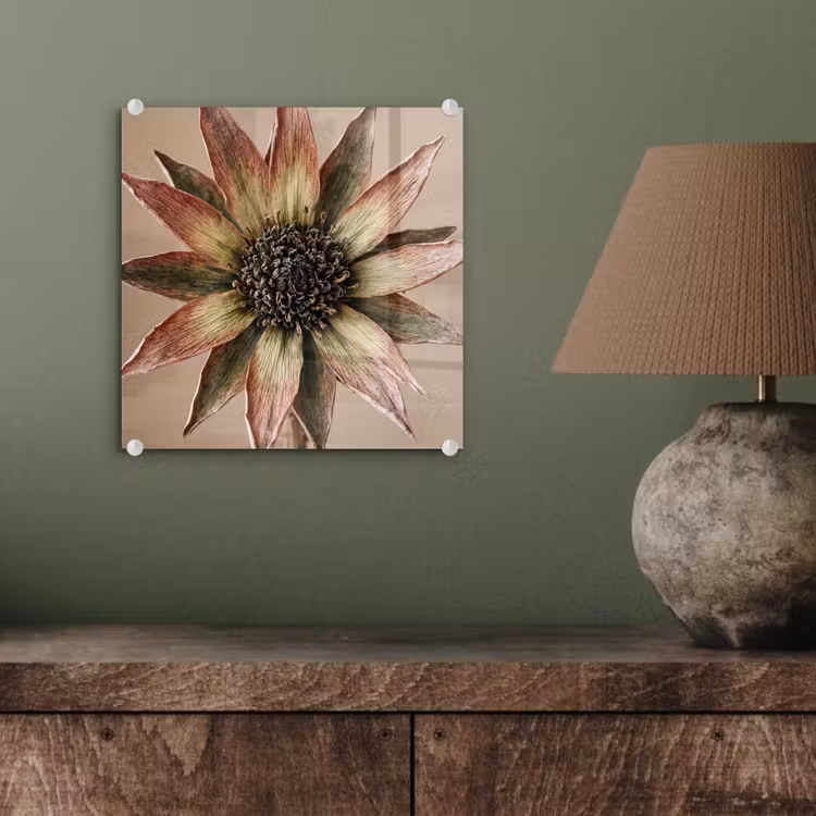 Droogbloem - Protea - Vintage - Beige - Rustiek plexiglas 5mm klein -sfeer3