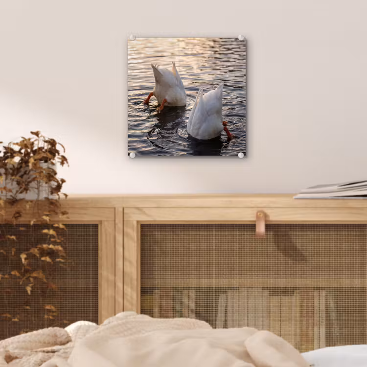 Eenden - Water - Natuur plexiglas 5mm klein -sfeer4