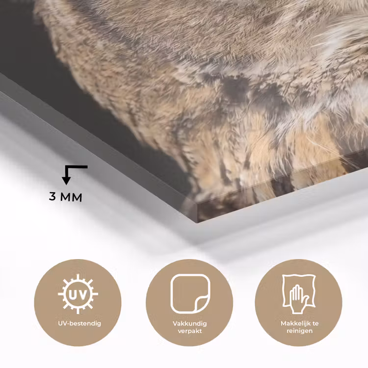 Oehoe - Uil - Portret - Bruin plexiglas 5mm klein -sfeer2