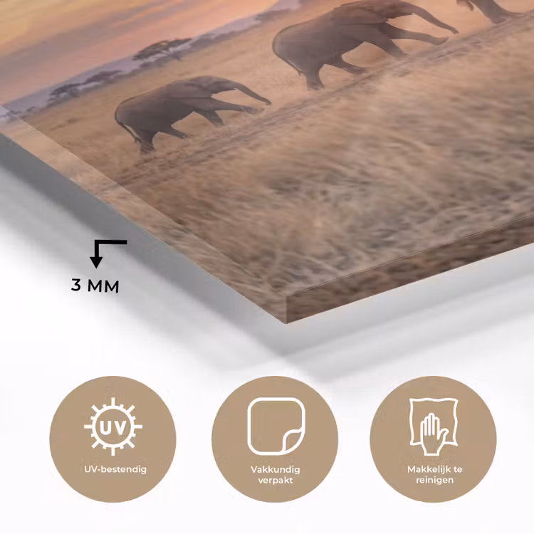 Olifanten - Savanne - Zonsondergang - Afrika - Warm plexiglas 5mm klein -sfeer2