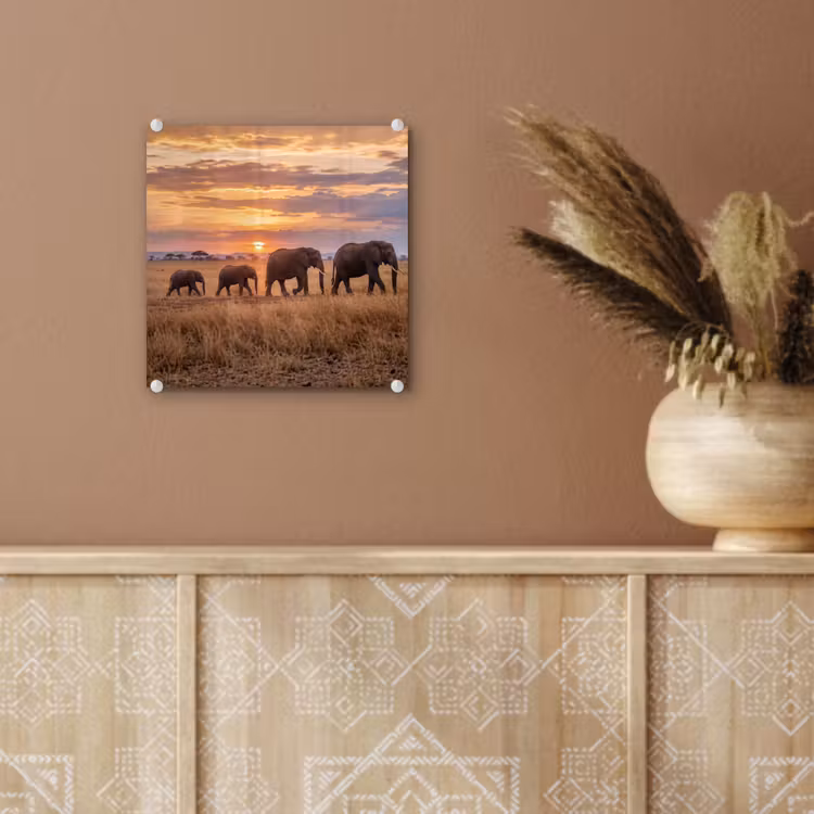 Olifanten - Savanne - Zonsondergang - Afrika - Warm plexiglas 5mm klein -sfeer5