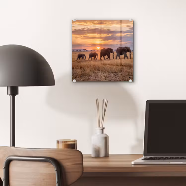 Olifanten - Savanne - Zonsondergang - Afrika - Warm plexiglas 5mm klein -sfeer6