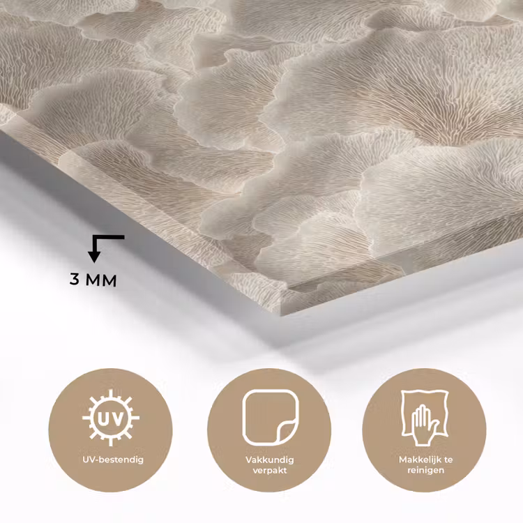 Waaierstructuren - Beige - Vezeltextuur plexiglas 5mm klein 11 -sfeer2