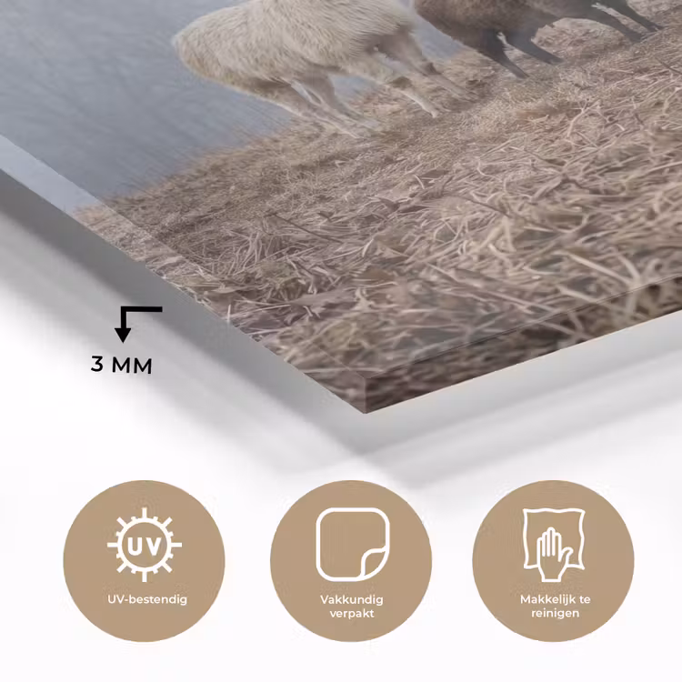 Boerderijdieren - Groep - Mist - Natuur - Rustiek plexiglas 5mm klein -sfeer2