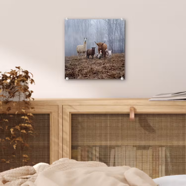 Boerderijdieren - Groep - Mist - Natuur - Rustiek plexiglas 5mm klein -sfeer4