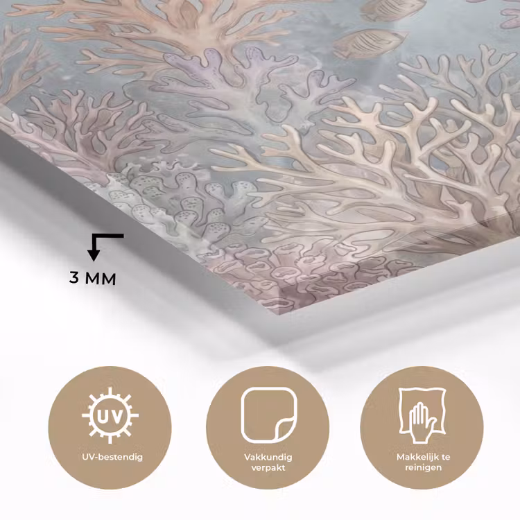 Vis - Koraal - Oceaan - Illustratie - Onderwater plexiglas 5mm klein -sfeer2