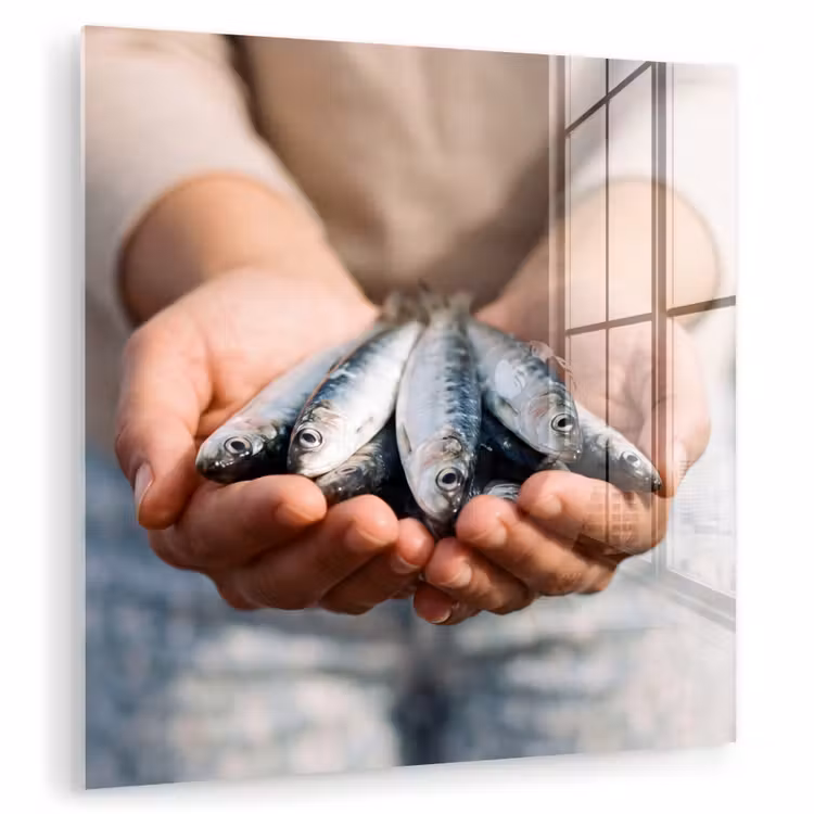 Glass Print - Fish - Hands - Nature - Vis - Handen - Natuur plexiglas 5mm klein