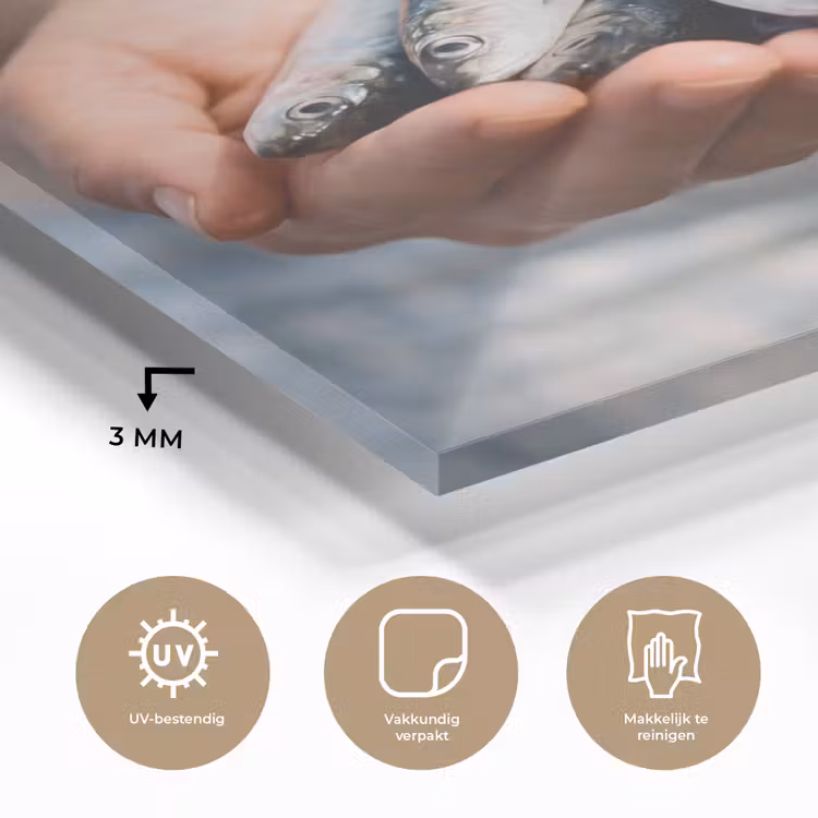Glass Print - Fish - Hands - Nature - Vis - Handen - Natuur plexiglas 5mm klein