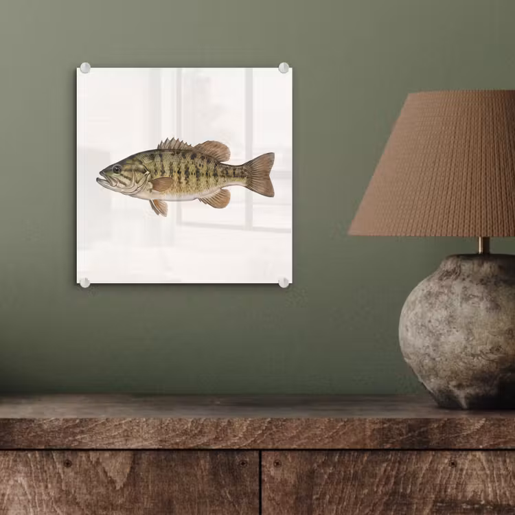 Vissen - Natuur - Vintage plexiglas 5mm klein -sfeer3
