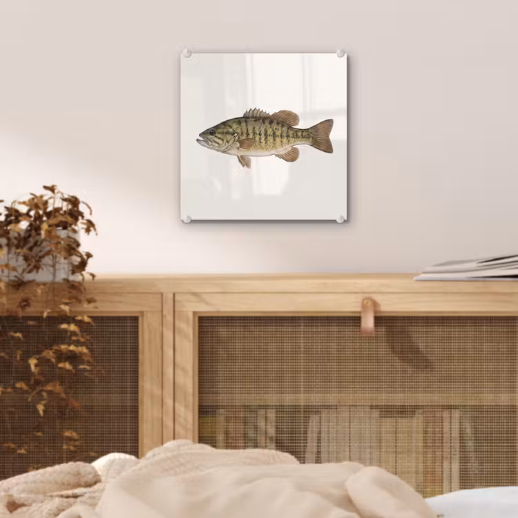Vissen - Natuur - Vintage plexiglas 5mm klein -sfeer4