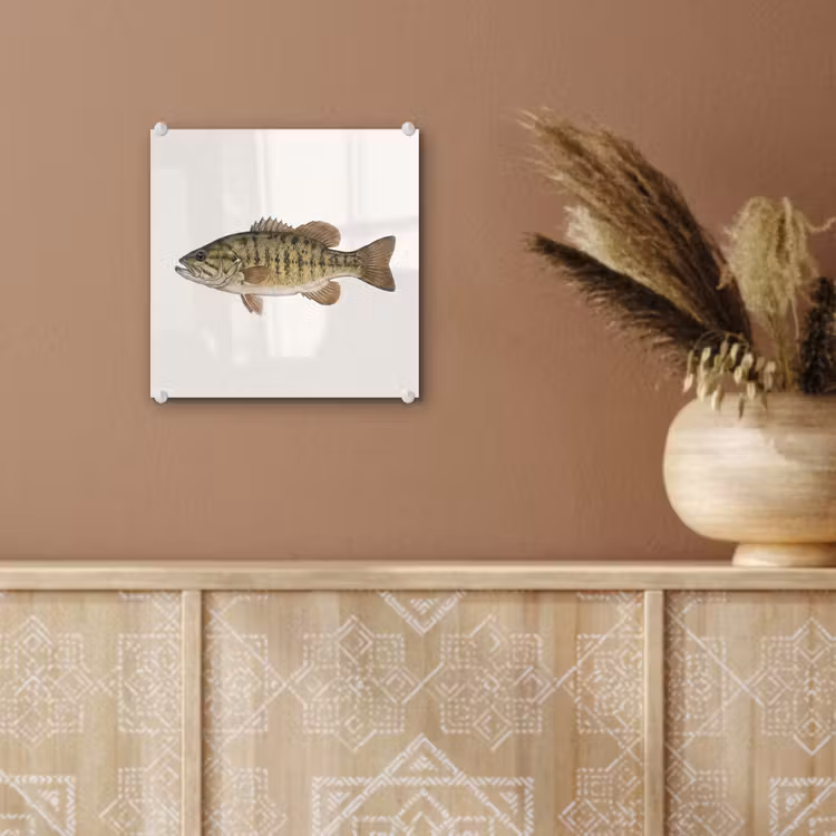 Vissen - Natuur - Vintage plexiglas 5mm klein -sfeer5