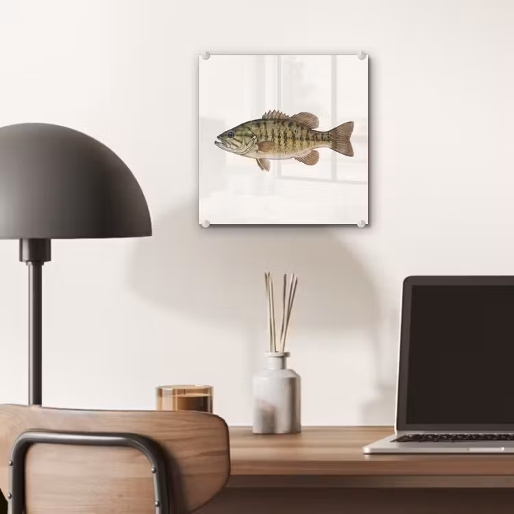 Vissen - Natuur - Vintage plexiglas 5mm klein -sfeer6