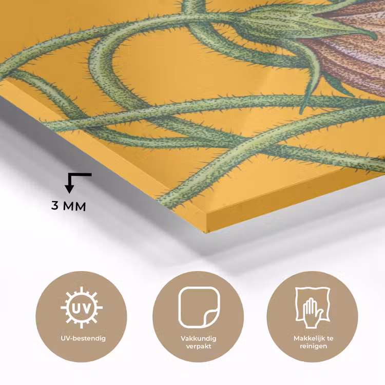 Glass Print - Flowers - Botanical - Yellow - Bloemen - Botanisch - Geel plexiglas 5mm klein