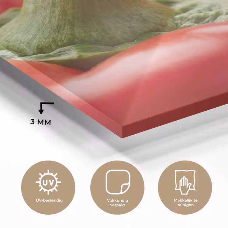 Glass Print - Food - Bell Pepper - Red - Eten - Paprika - Rood plexiglas 5mm klein